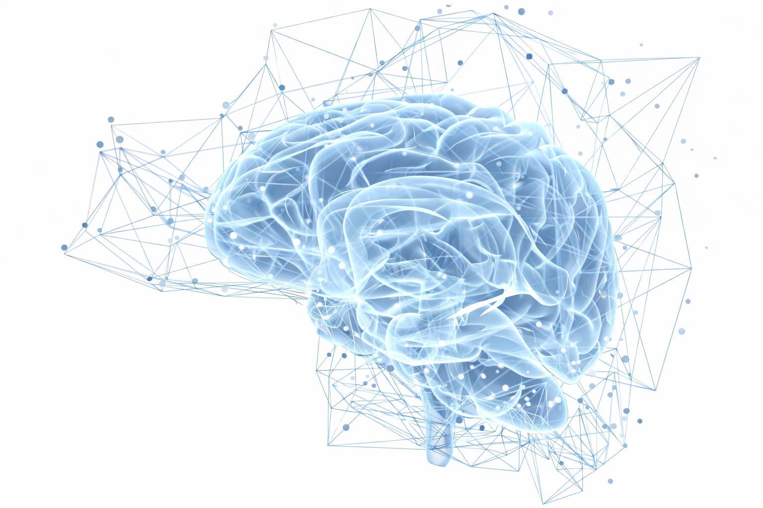 Neural network visualization